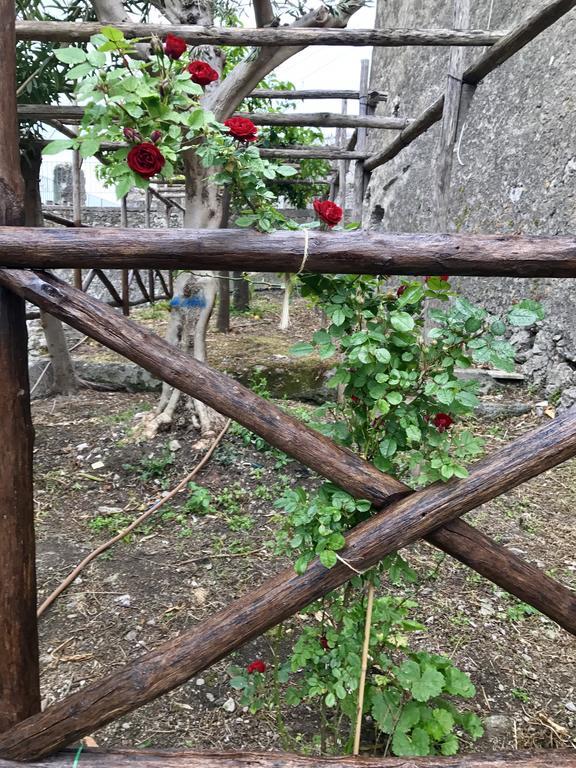 Le Due Porte Maiori Exteriör bild